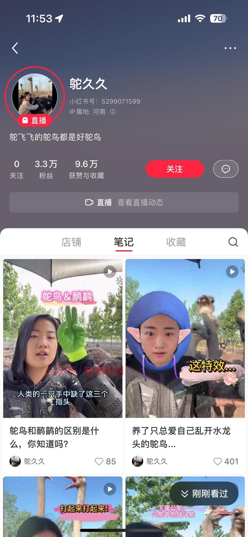小红书：稀有动物吸睛…#情报-搞钱情报论坛-网创交流-智像新网